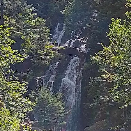 Comme Chez Soi Apartman