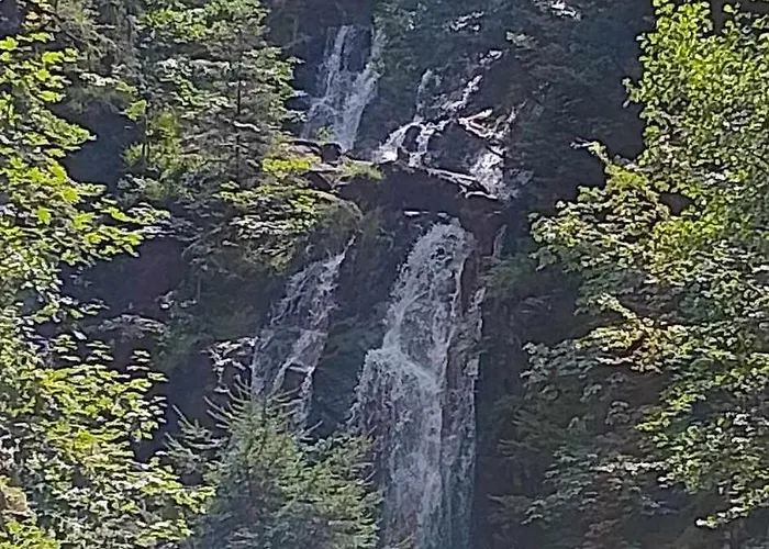 Comme Chez Soi Appartement