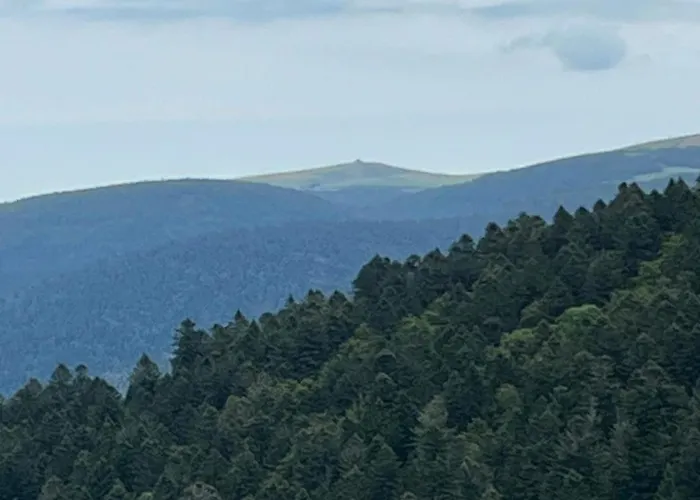 Διαμέρισμα Comme Chez Soi